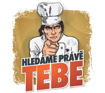 HLEDÁME KOLEGU DO POTREFENÉ HUSY MLADÁ BOLESLAV